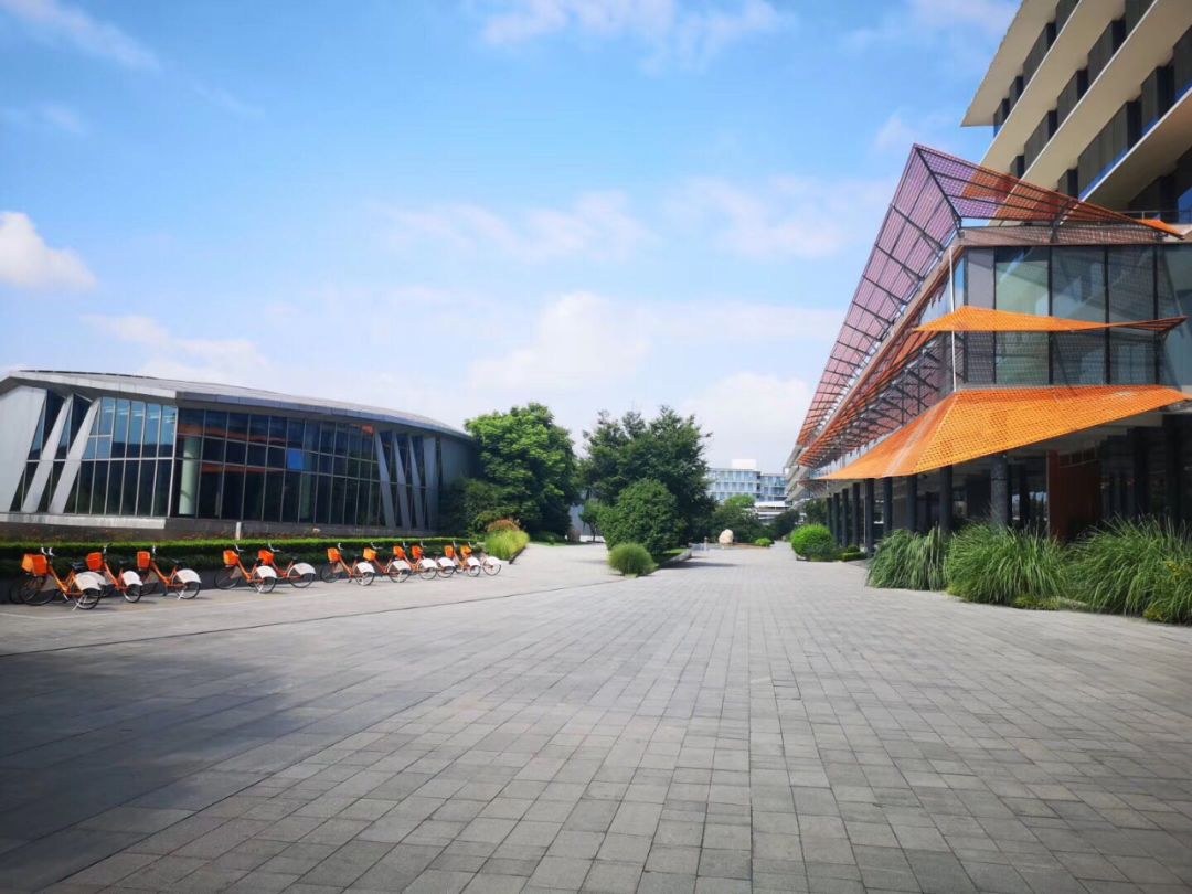 f02.jpg